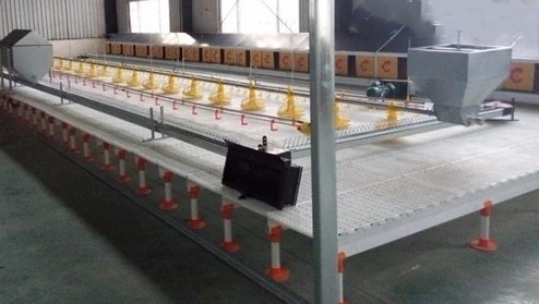 Grating Shed Mesh Plastic Slatted Floor For Poultry 0