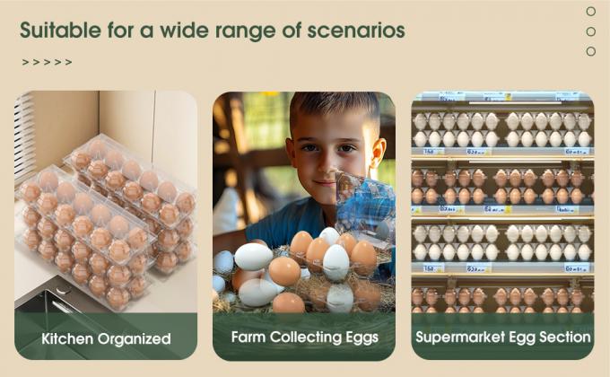 Прозрачные пластиковые яичные коробки - Прозрачные контейнеры с датой - Набор для хранения больших яиц - Многоразовые контейнеры для хранения - 12-ти, упаковка из 48 0