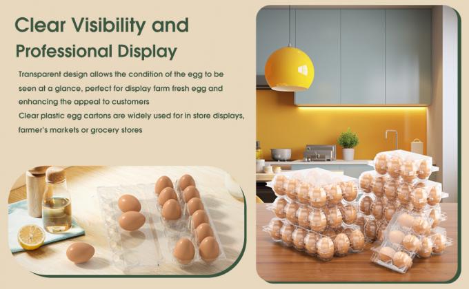 Прозрачные пластиковые яичные коробки - Прозрачные контейнеры с датой - Набор для хранения больших яиц - Многоразовые контейнеры для хранения - 12-ти, упаковка из 48 3