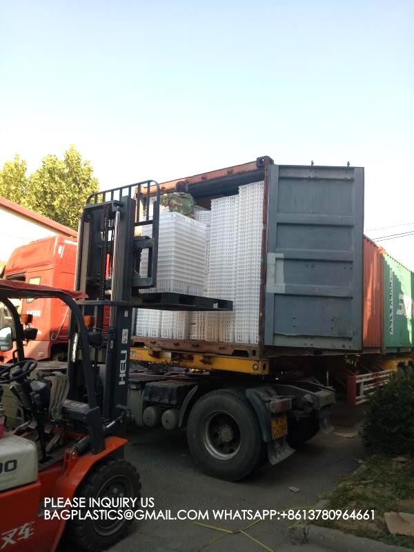 Устойчивая белая куриная клетка 680*490*160мм Virgin PP Transportation Chicken Cage 0