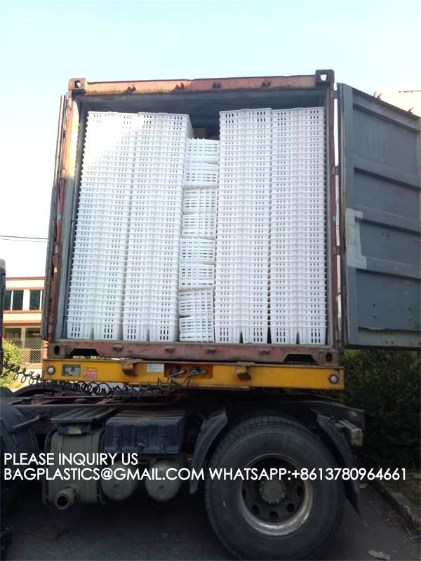 Устойчивая белая куриная клетка 680*490*160мм Virgin PP Transportation Chicken Cage 1