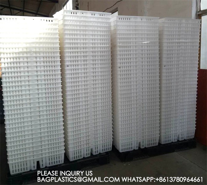 Устойчивая белая куриная клетка 680*490*160мм Virgin PP Transportation Chicken Cage 3