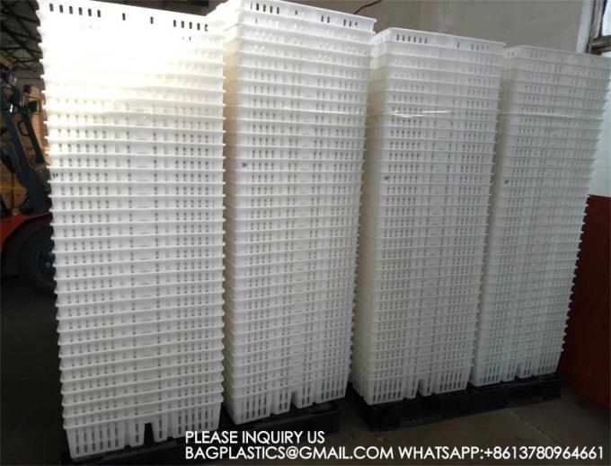 Устойчивая белая куриная клетка 680*490*160мм Virgin PP Transportation Chicken Cage 4