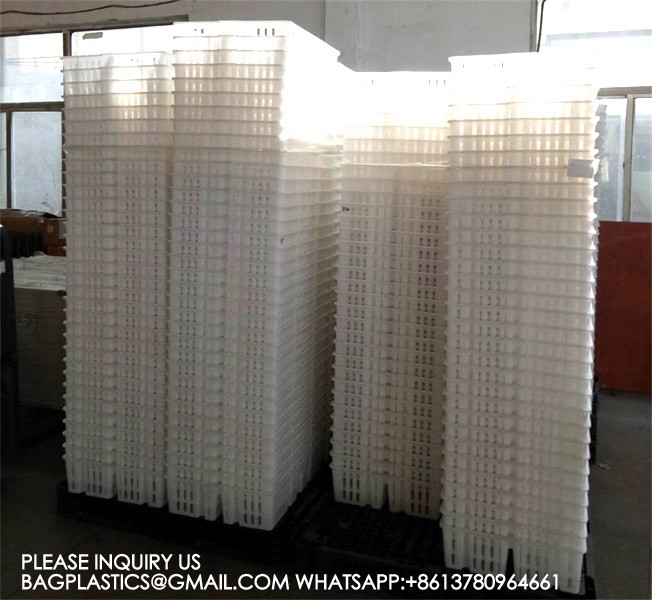 Устойчивая белая куриная клетка 680*490*160мм Virgin PP Transportation Chicken Cage 5
