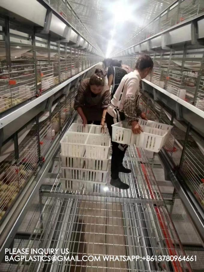 Устойчивая белая куриная клетка 680*490*160мм Virgin PP Transportation Chicken Cage 2